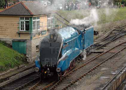 Purchase photo of 4492 DOMINION OF NEW ZEALAND (BITTERN) at Swanage Railway